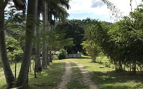 Cabañas Maya Rue